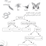 حل تمرين 2-5 تمييز الحيوانات اللافقارية – علوم رابع فصل أول – كتاب النشاط – 2026