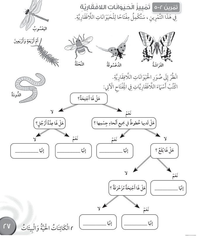 حل تمرين 2-5 تمييز الحيوانات اللافقارية – علوم رابع فصل أول – كتاب النشاط – 2026