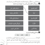 حل المراجعة اللغوية للوحدة (2) الكائنات الحية والبيئات – علوم رابع فصل أول – كتاب النشاط