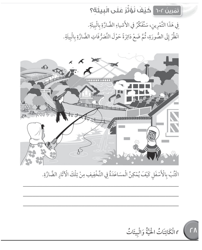 حل تمرين 2-6 كيف نؤثر على البيئة؟ – علوم رابع فصل أول – كتاب النشاط – 2026
