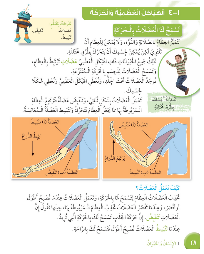 حل درس الهياكل العظمية والحركة – علوم صف رابع فصل أول – كتاب الطالب – 2026