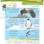 حل درس الطيور المدهشة – علوم صف رابع فصل أول – كتاب الطالب – 2026