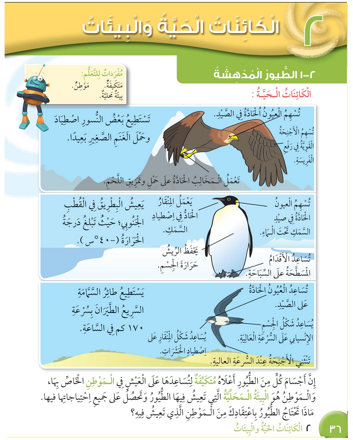 حل درس الطيور المدهشة – علوم صف رابع فصل أول – كتاب الطالب – 2026