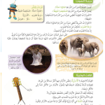 حل درس الأصوات ذات الدرجة العالية – علوم صف رابع فصل ثاني – كتاب الطالب – 2026