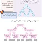 حل درس المخططات الشجرية – رياضيات صف رابع فصل ثاني – كتاب الطالب – 2026