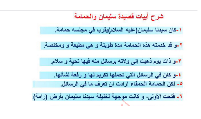 شرح قصيدة سليمان والحمامة – لغتي الجميلة صف خامس فصل أول – 2026