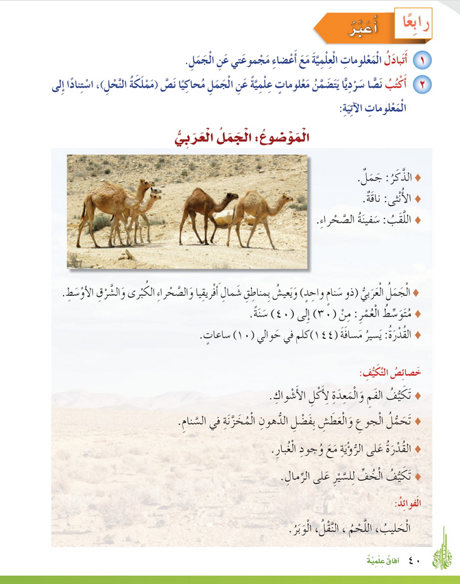 حل درس التعبير الجمل العربي – أحب لغتي صف رابع فصل ثاني – 2026