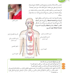 حل أسئلة دروس الوحدة (7) الجهاز الدوري وتبادل الغازات – علوم صف ثامن فصل ثاني – 2026