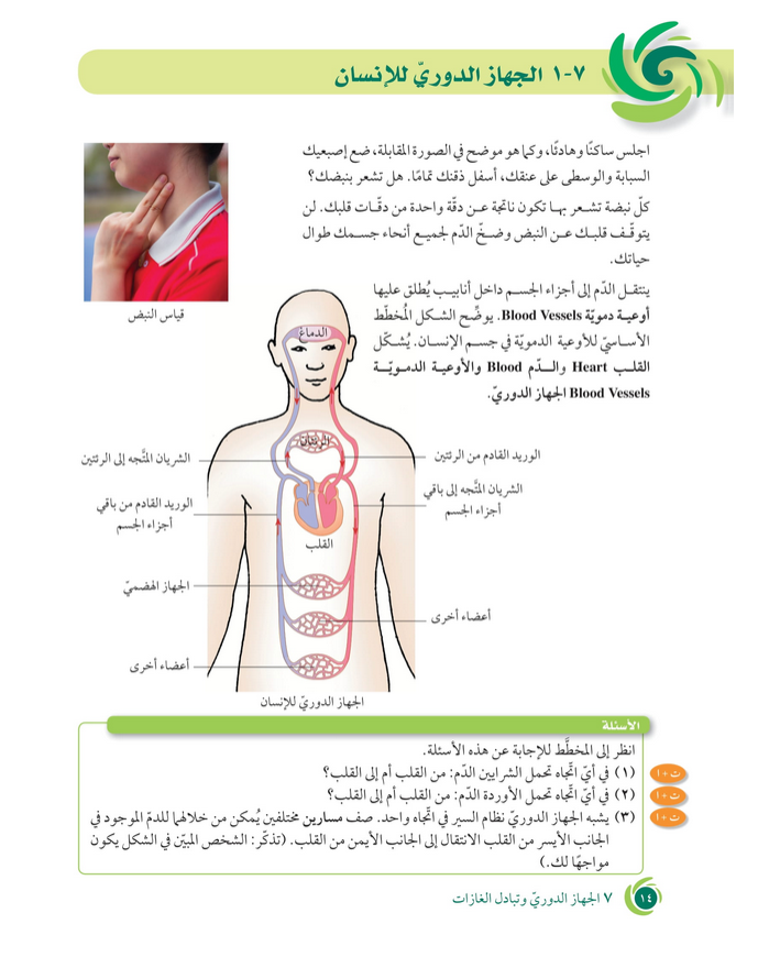 حل أسئلة دروس الوحدة (7) الجهاز الدوري وتبادل الغازات – علوم صف ثامن فصل ثاني – 2026