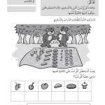 حل أسئلة درس حصص الدببة العادلة – رياضيات أول فصل ثاني (كتاب النشاط) – 2026