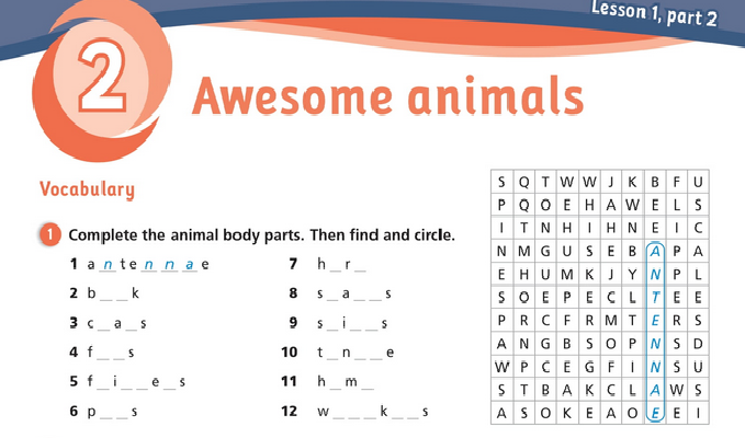 حل أسئلة Activity Book – Unit 2 – Awesome animals