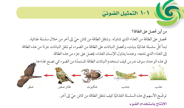 حل دروس الوحدة (1) النباتات – علوم صف ثامن فصل أول – كتاب الطالب – 2026