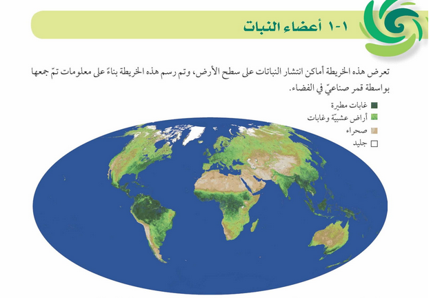 حل دروس الوحدة (1) النبات والإنسان ككائنات حية – علوم صف سابع فصل أول – 2026